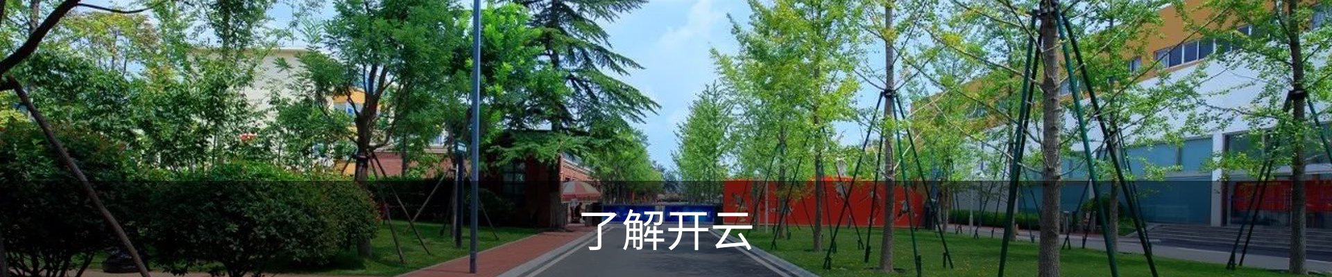了解开云