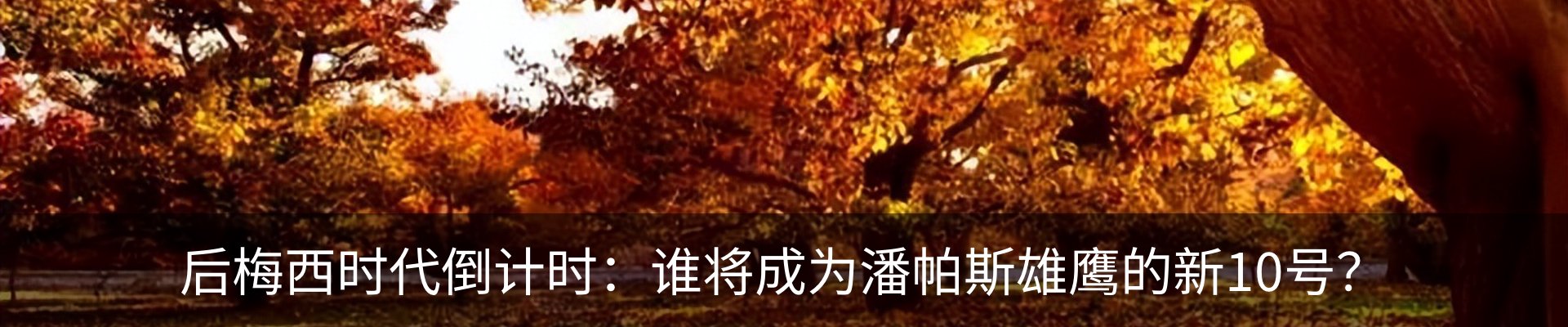 新闻中心