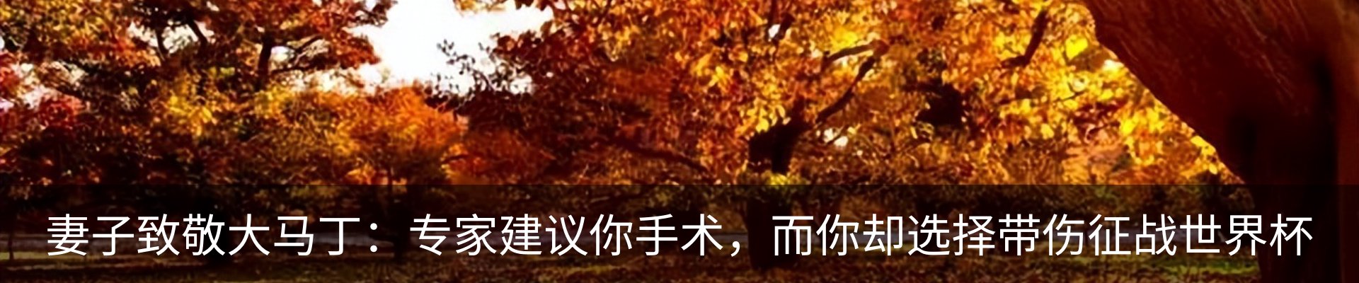 新闻中心