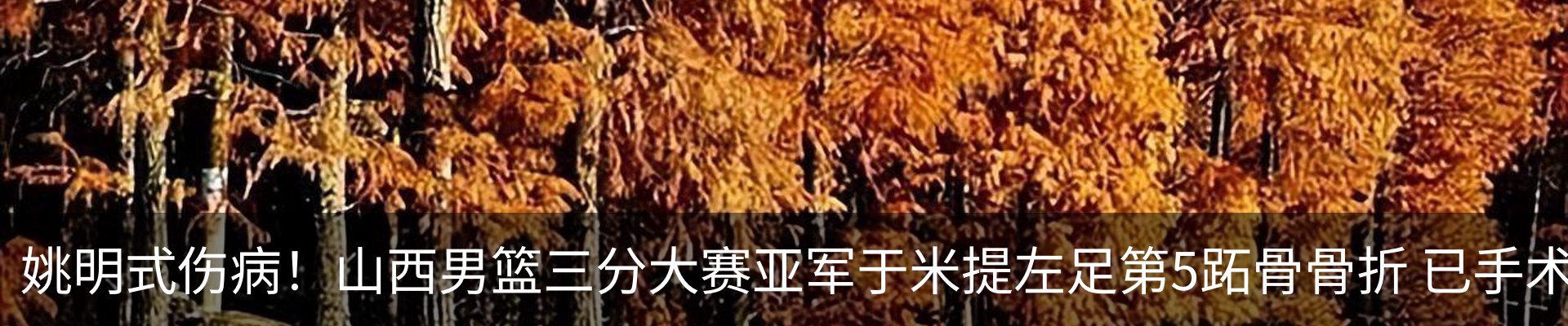 新闻中心
