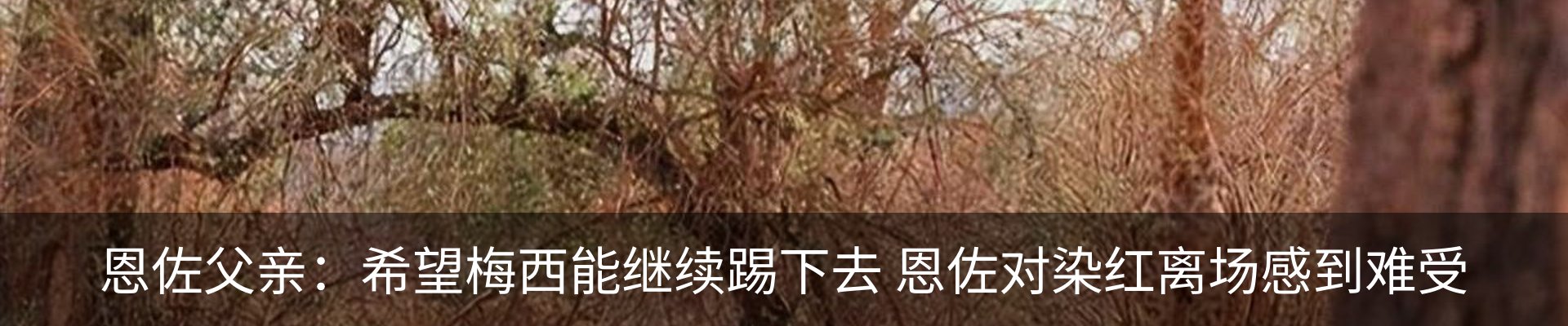 新闻中心