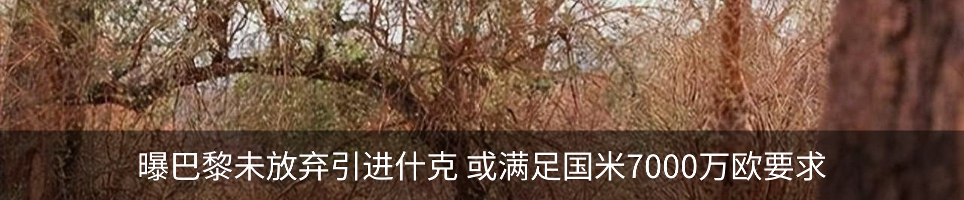 新闻中心