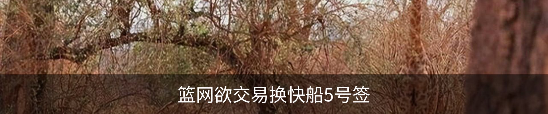 新闻中心