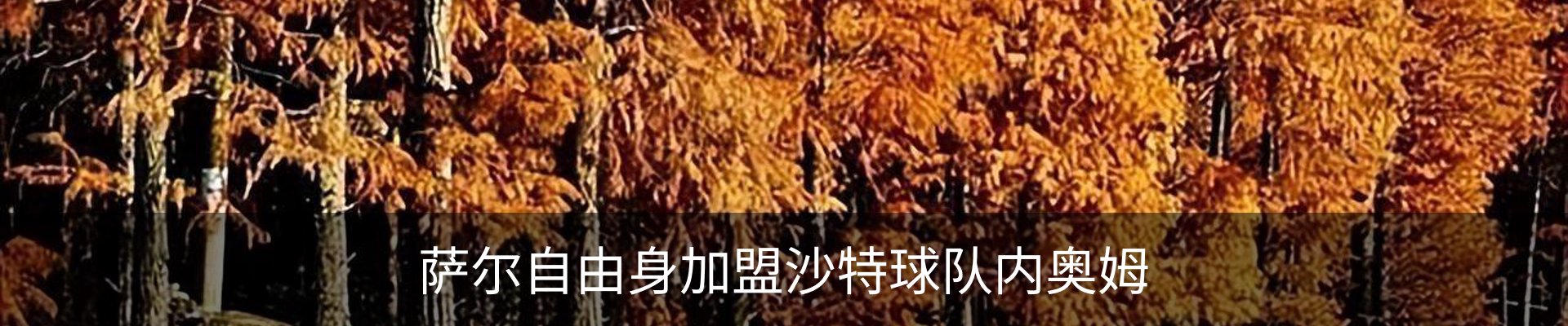新闻中心