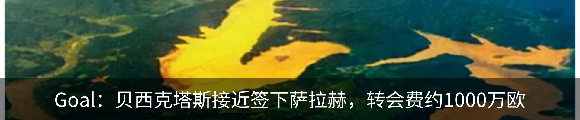 新闻中心